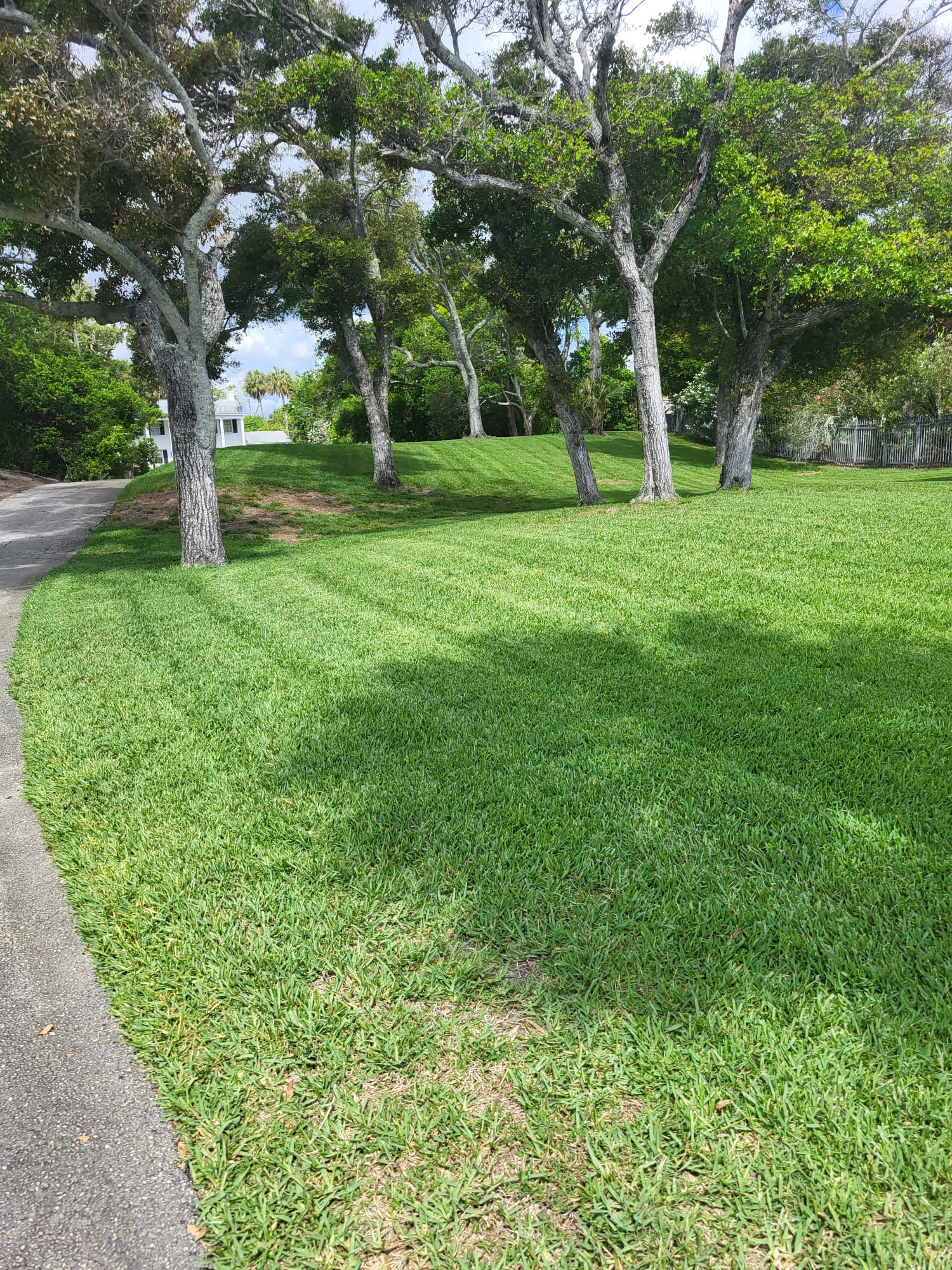 Lawn Mowing & Edging in Ormond Beach, FL